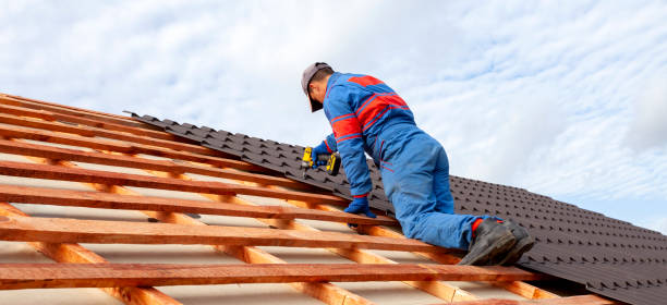 Best Asphalt Shingle Roofing  in Big Rapids, MI